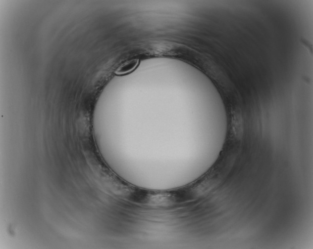 X0000103470461200809261908