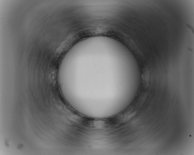 X0000103470462200809261908