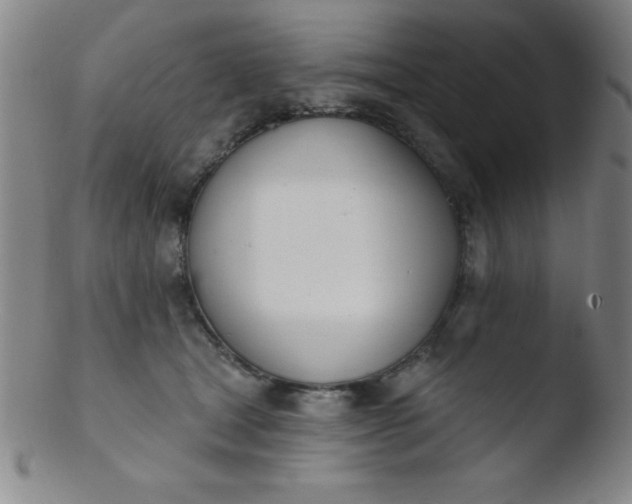 X0000103470465200809261908