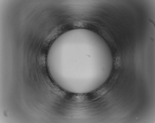 X0000103470466200809261908