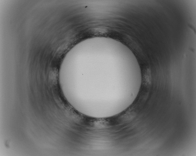 X0000103470468200809261908