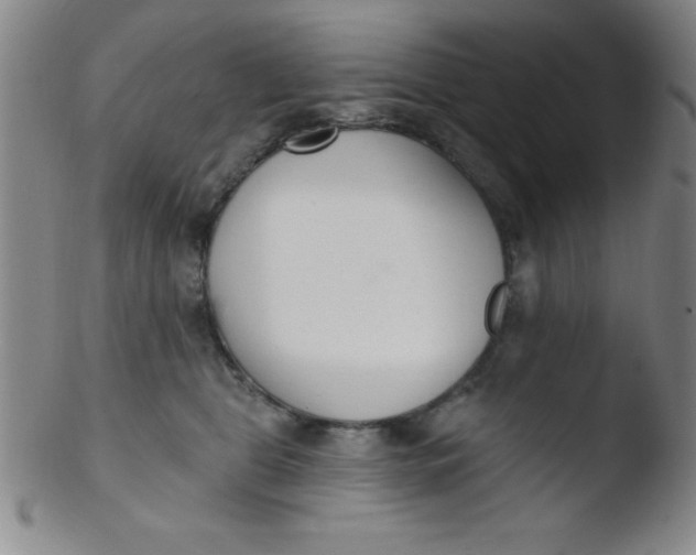 X0000103470469200809261908