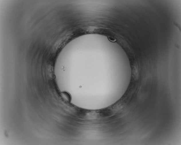 X0000103470470200809261908