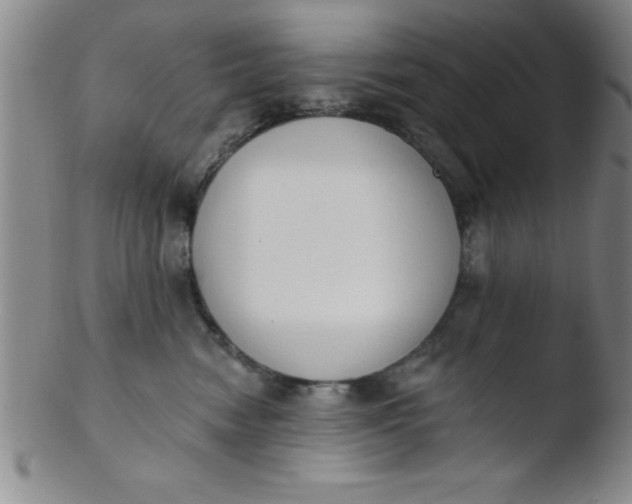 X0000103470474200809261908