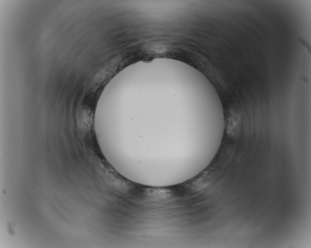 X0000103470476200809261908