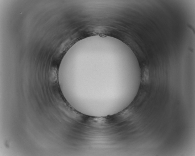 X0000103470478200809261908