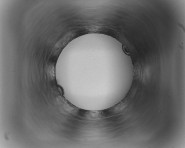 X0000103470479200809261908