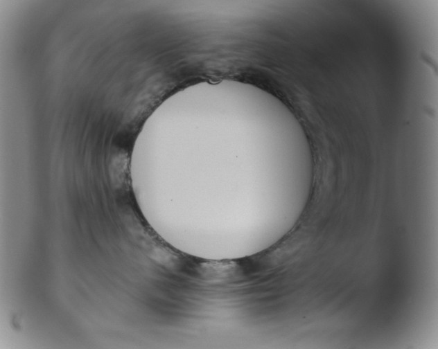 X0000103470480200809261908