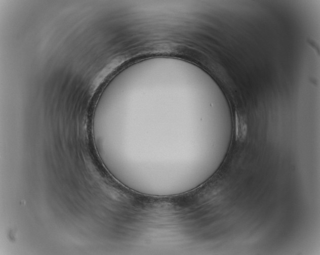 X0000103470483200809261908