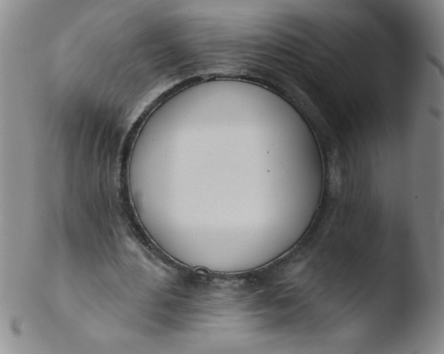 X0000103470484200809261908