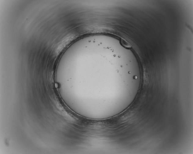 X0000103470485200809261908