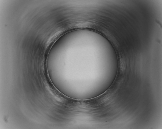 X0000103470486200809261908