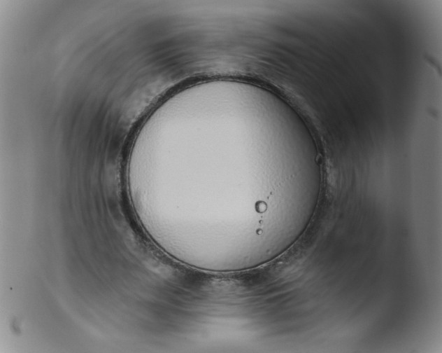 X0000103470487200809261908