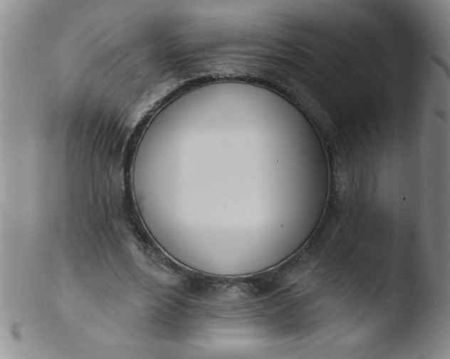 X0000103470488200809261908