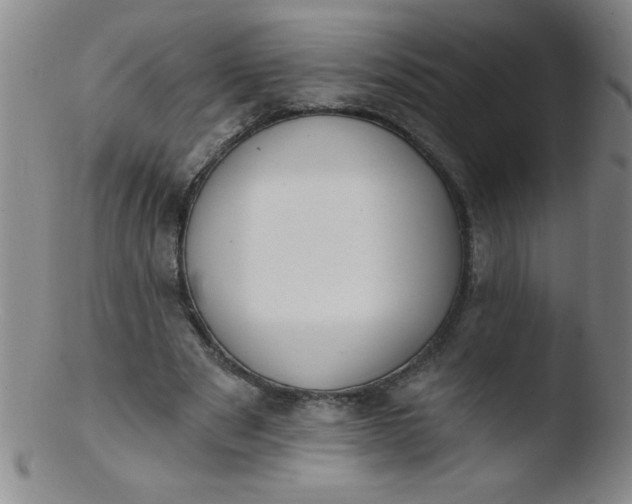 X0000103470489200809261908