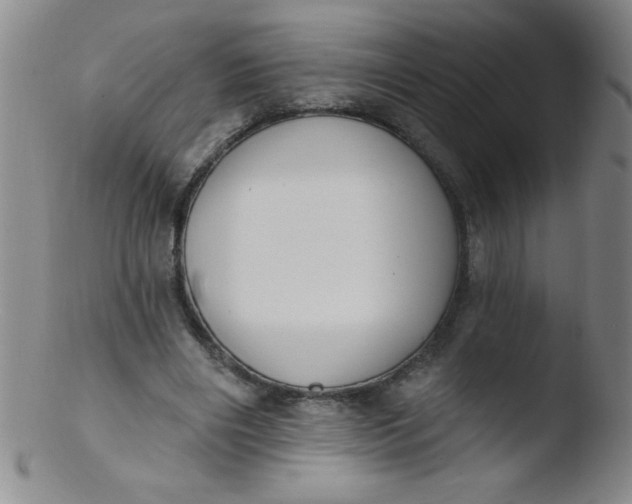 X0000103470490200809261908