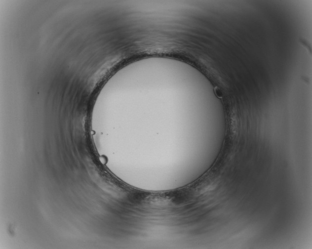 X0000103470491200809261908