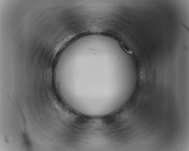 X0000103470492200809261908