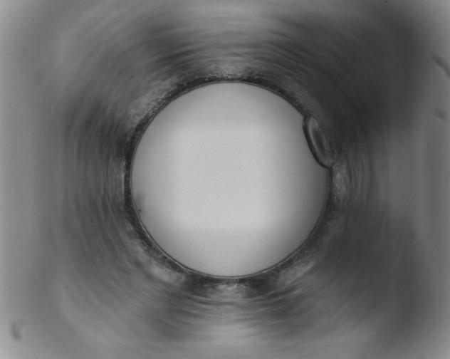 X0000103470493200809261908