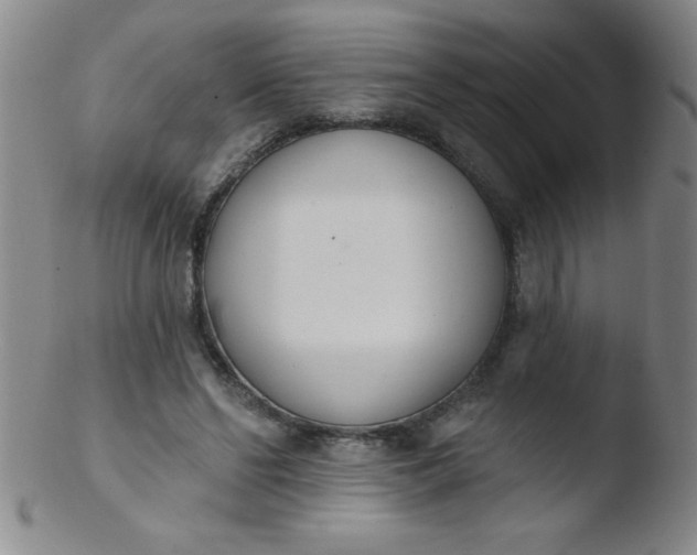 X0000103470494200809261908