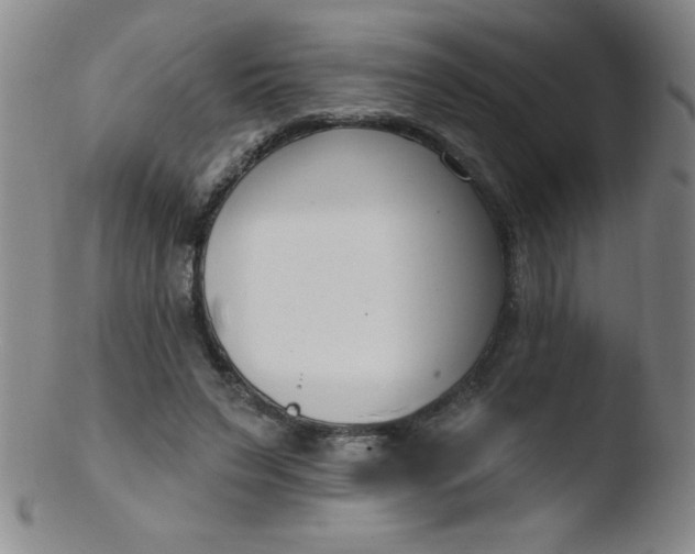 X0000103470495200809261908