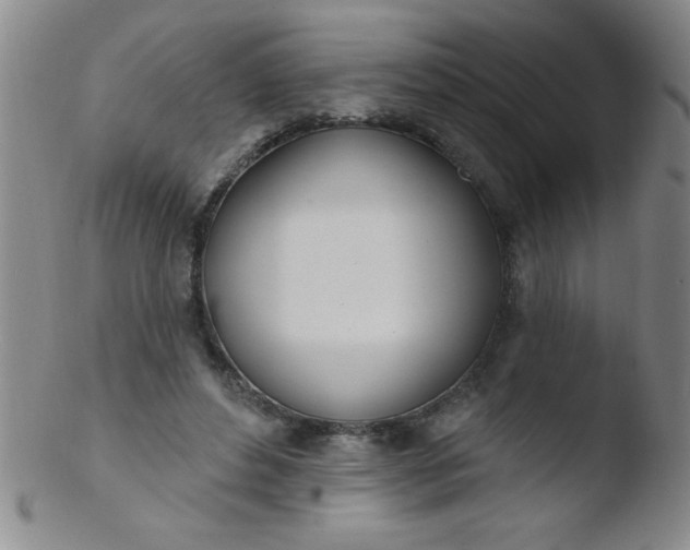 X0000103470496200809261908