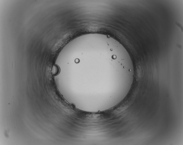 X0000103470497200809261908