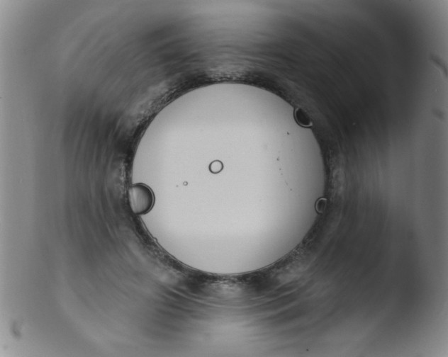 X0000103470498200809261908