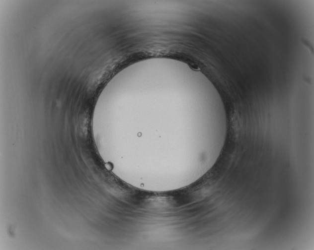 X0000103470499200809261907