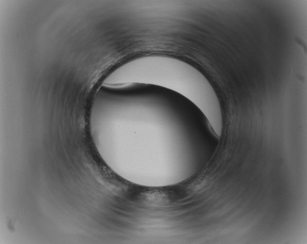 X0000103470500200809261907