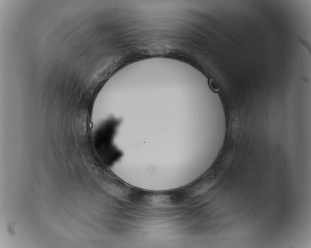 X0000103470501200809261907