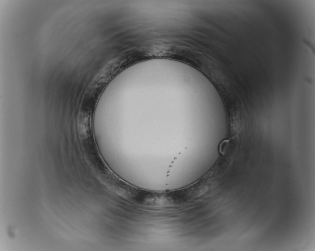 X0000103470503200809261907