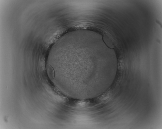 X0000103470504200809261907