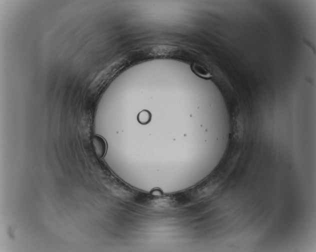 X0000103470505200809261907