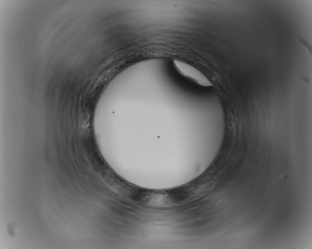 X0000103470507200809261907