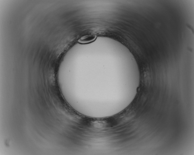 X0000103470508200809261907