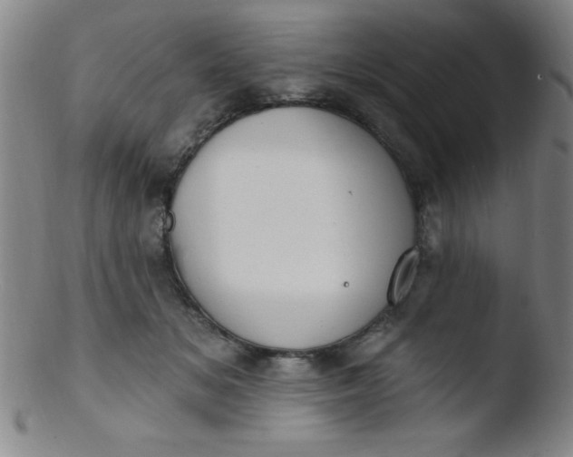 X0000103470509200809261907