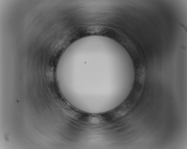 X0000103470510200809261907