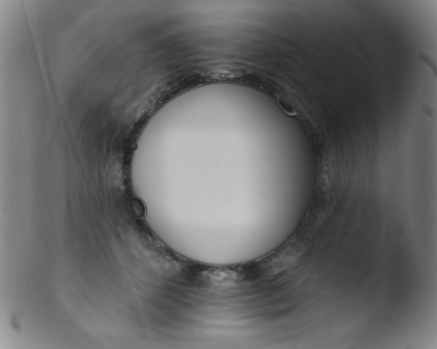 X0000103470512200809261907