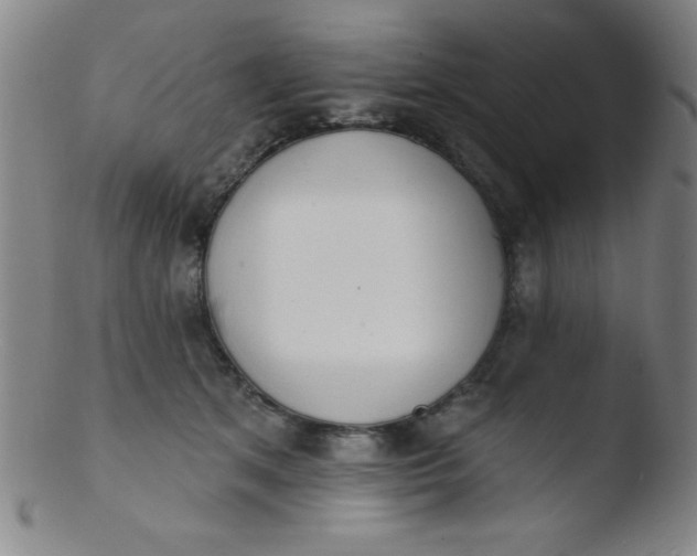 X0000103470513200809261907