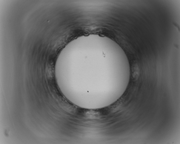 X0000103470515200809261907