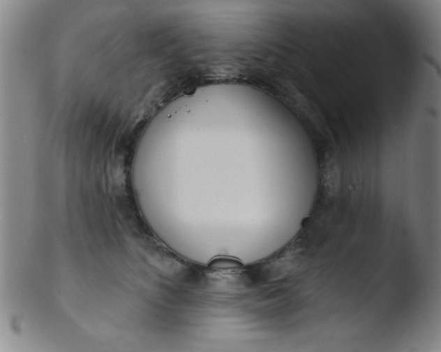 X0000103470516200809261907