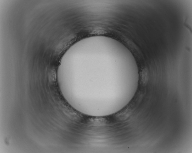 X0000103470517200809261907