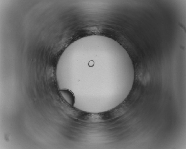 X0000103470518200809261907