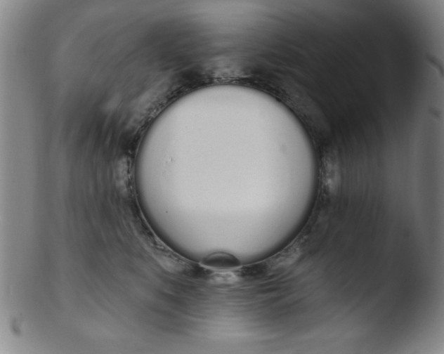 X0000103470519200809261907