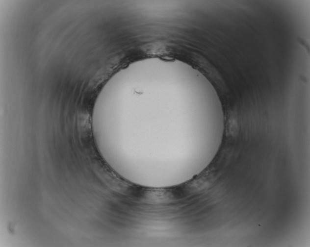 X0000103470521200809261907