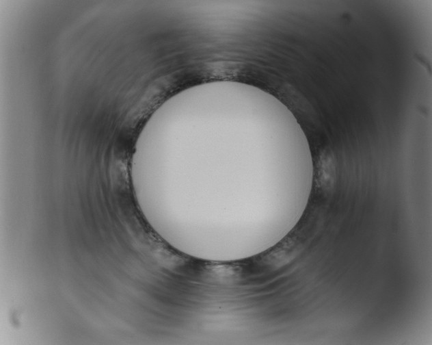 X0000103470522200809261907