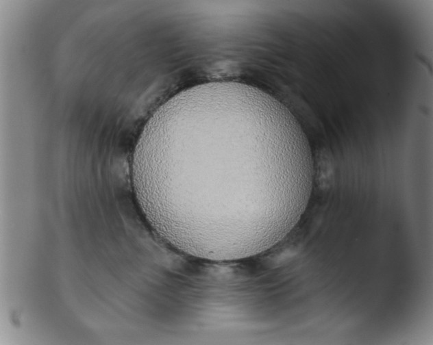 X0000103470523200809261907