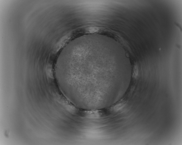 X0000103470524200809261907