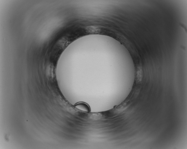 X0000103470525200809261907